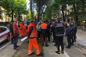 I residenti di viale Oriani si mobilitano per salvare i loro pini