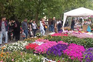 "Giardini&Terrazzi": a Bologna la 31ª edizione della manifestazione del verde e design outdoor