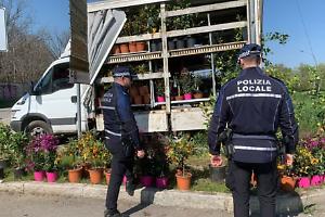 Sequestrate piante a venditore abusivo e donate all'Istituto Agrario Serpieri