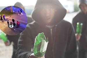 Aggrediti e rapinati nella notte al parco della Montagnola a Bologna: ferito un 50enne