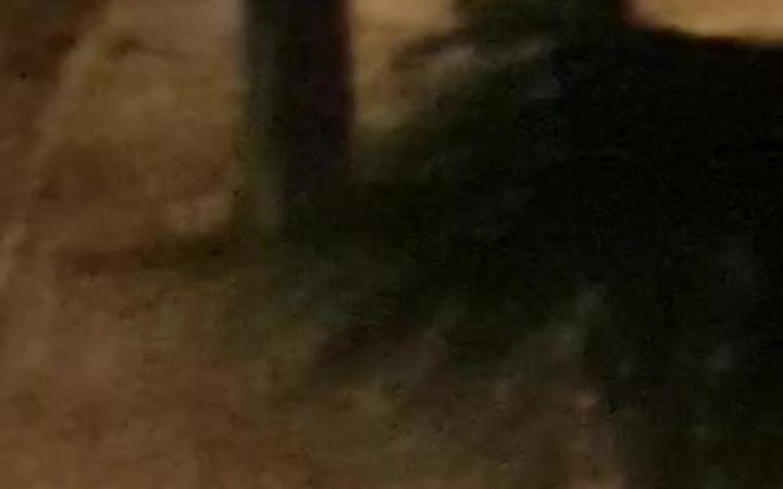 Bologna, ancora una rissa fra giovanissimi IL VIDEO