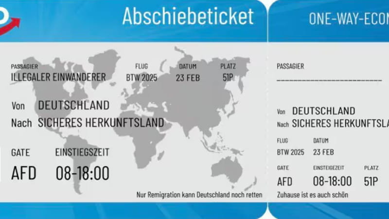Volantino Propagandistico AfD